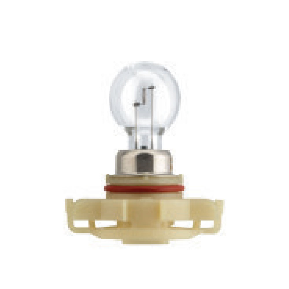 bulb